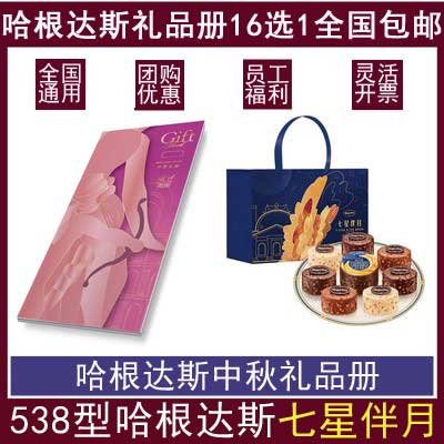 哈根达斯送货券多选册-498型